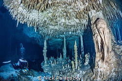 Dreamgate Cenote in Tulum, Mexico by Nick Polanszky 
